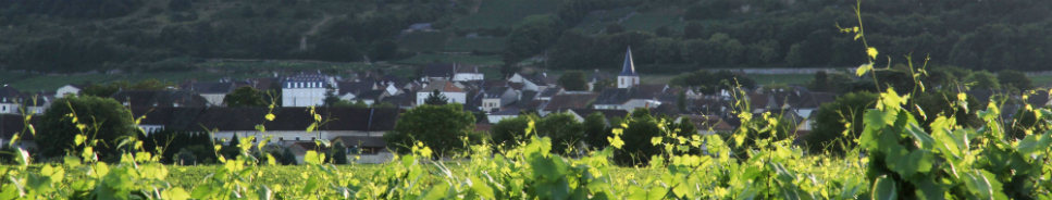 Banniere Commune de Chassagne-Montrachet